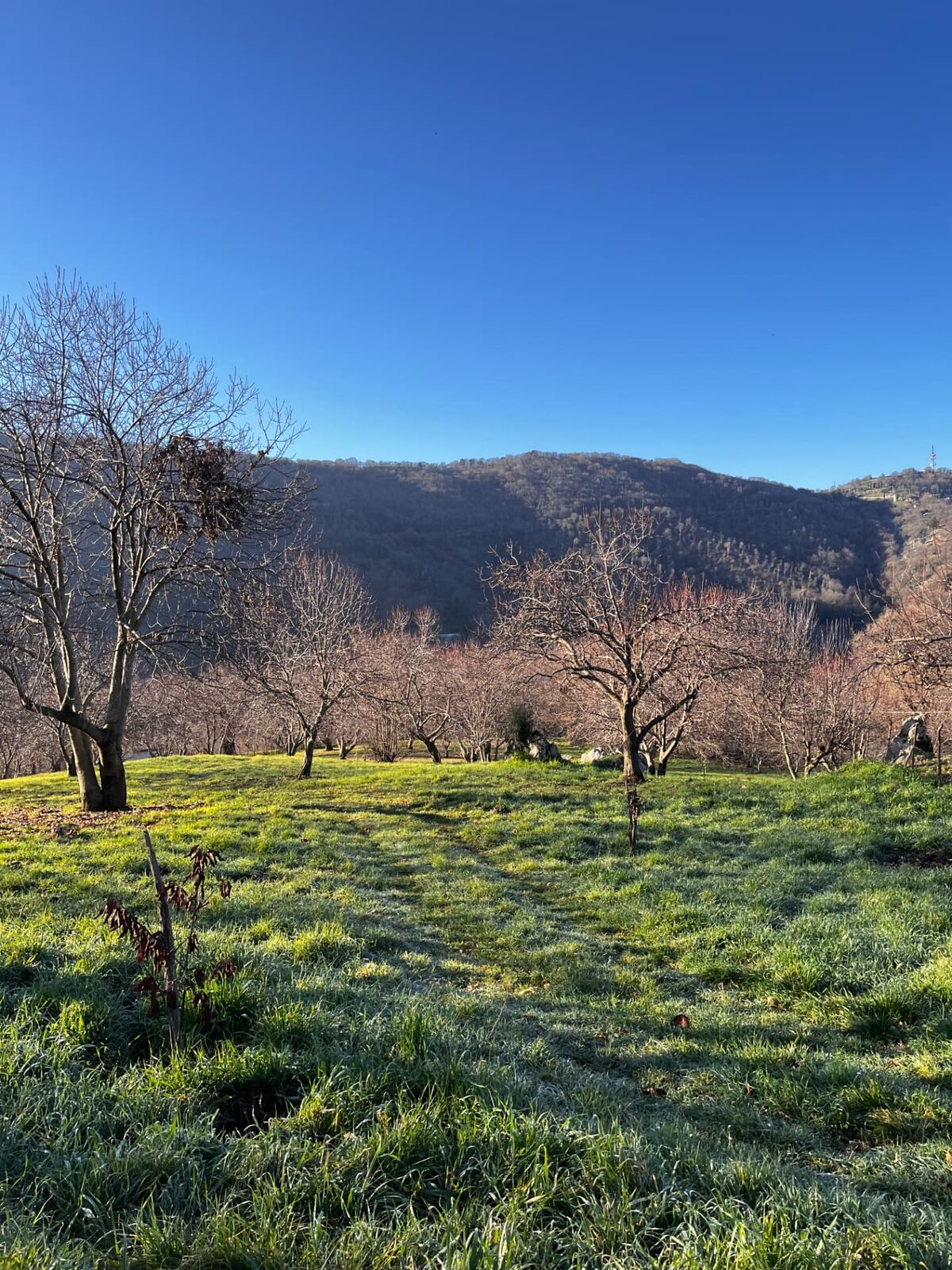 Terreno campo scout Il Bosco, Rocca Massima, foto 2