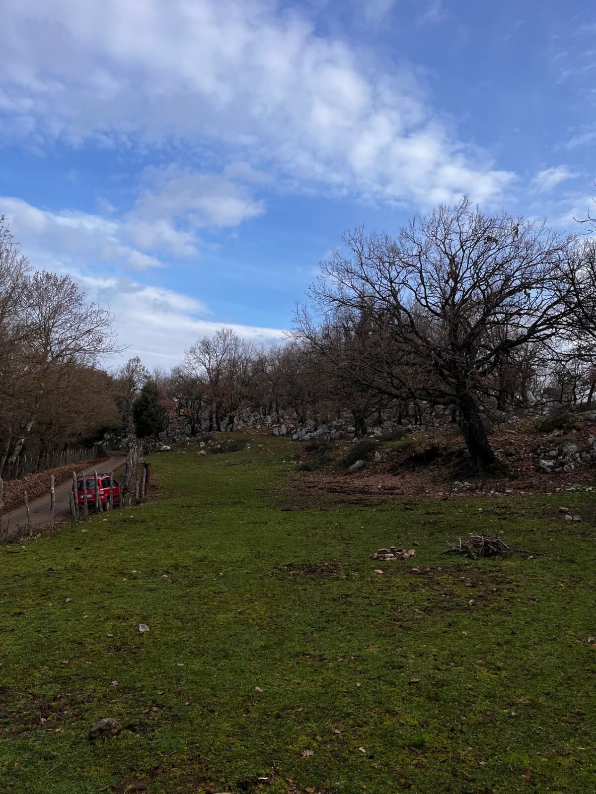 Terreno campo scout Il Bottino, Rocca Massima, foto 3