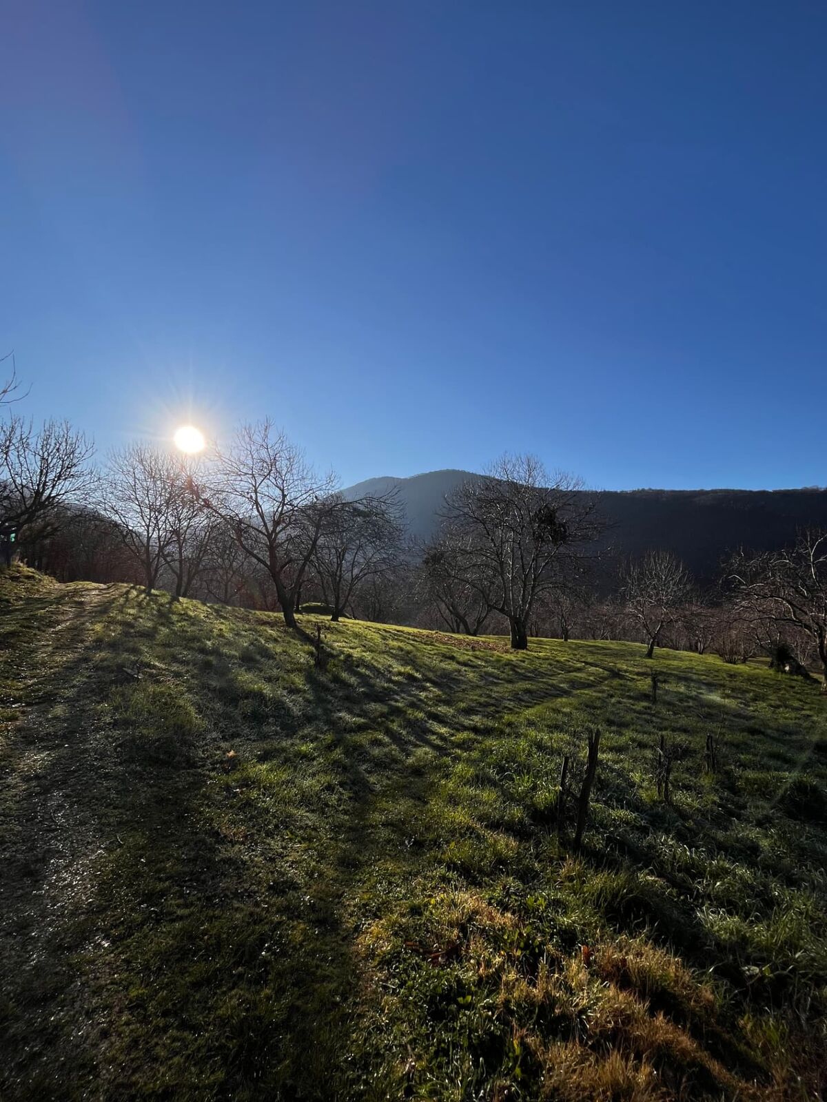 Terreno campo scout Il Bosco, Rocca Massima, foto 3