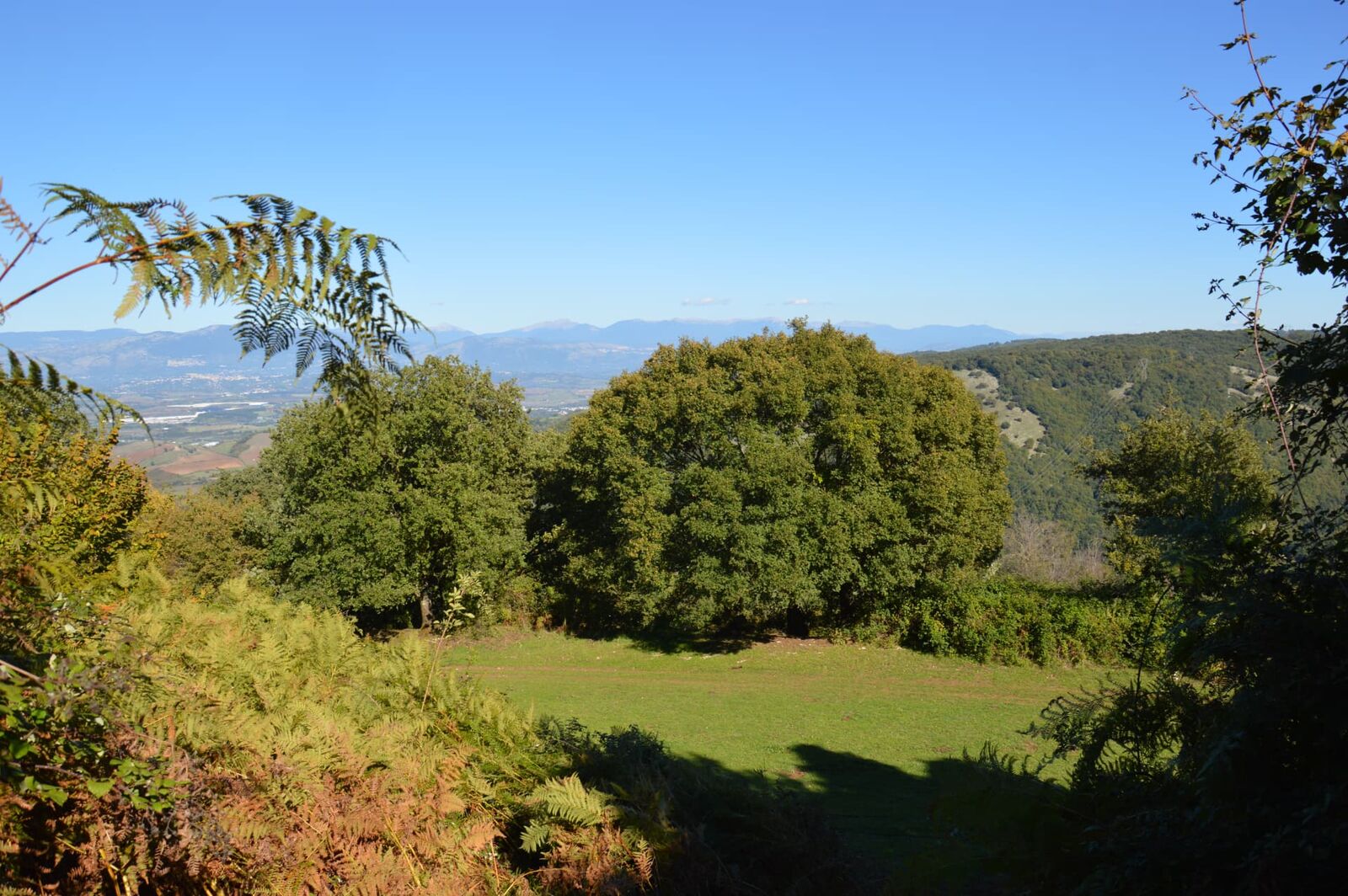 Terreno campo scout La Cisternola, Rocca Massima, foto 2