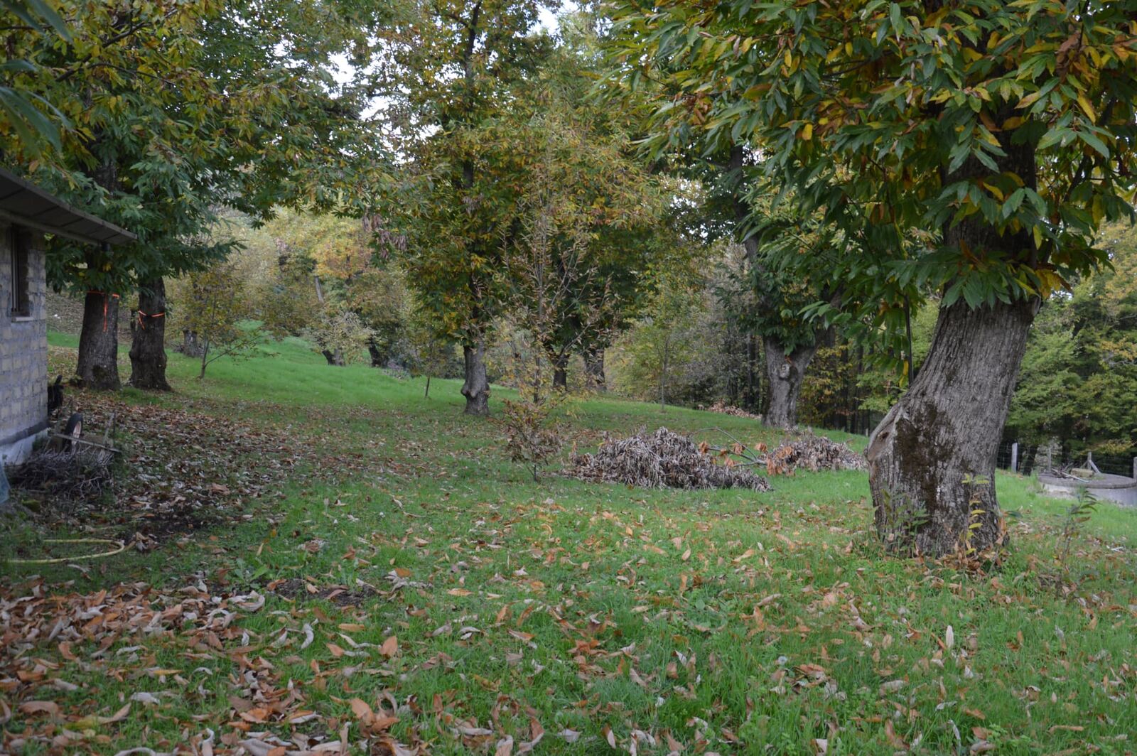 Terreno campo scout La Casetta, Rocca Massima, foto 2