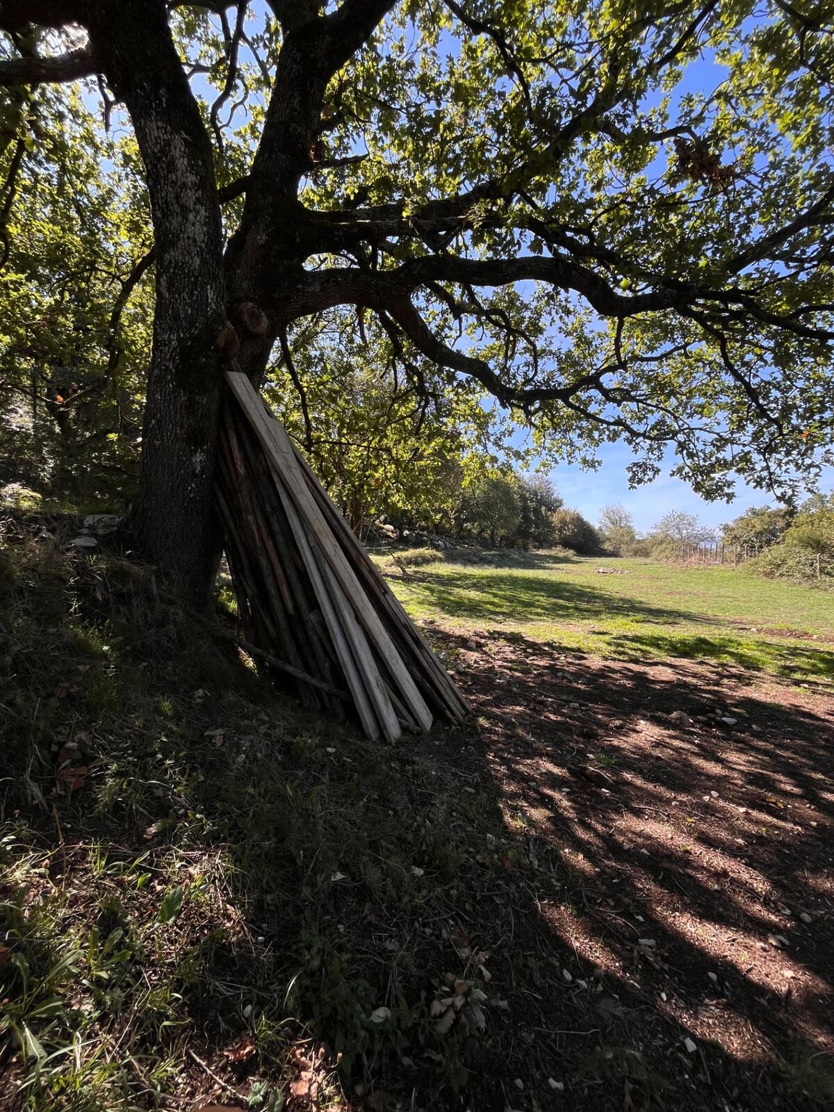 Terreno campo scout Il Bottino, Rocca Massima, foto 4