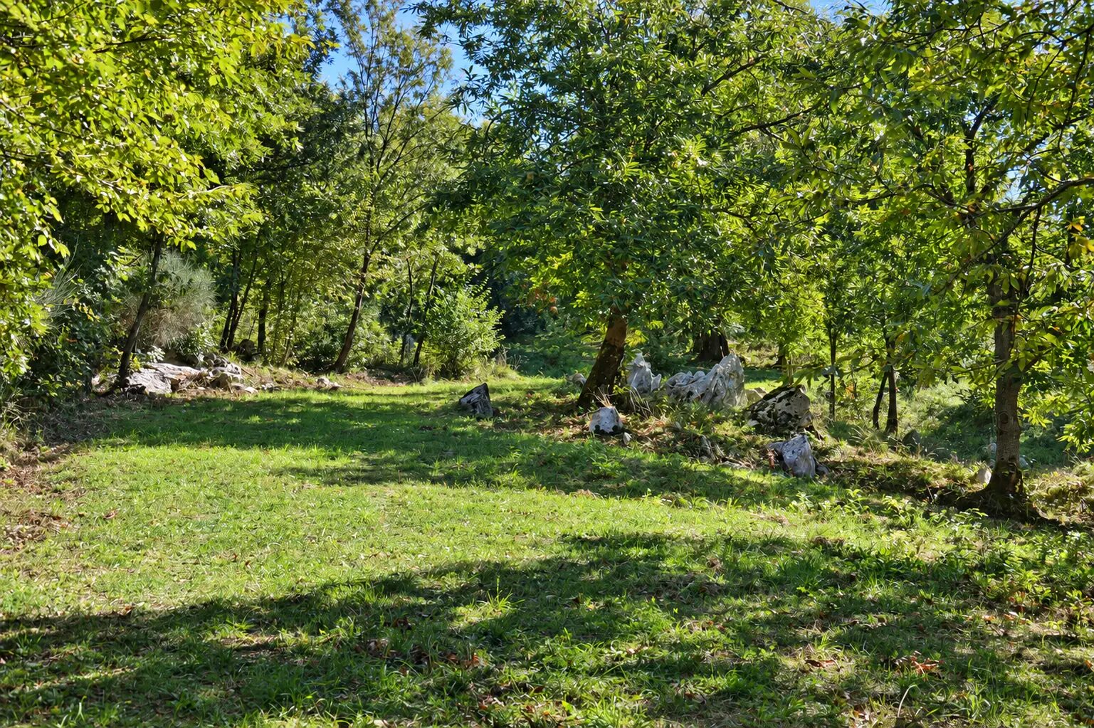 Terreno campo scout Le Terrazze, Rocca Massima, foto 1