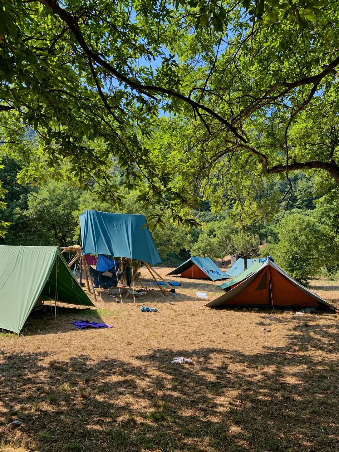 Terreno campo scout Il Castagneto, Rocca Massima, foto 1